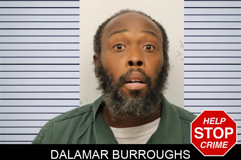 Dalamar Burroughs mugshot – Chatham County , Georgia Dalamar Burroughs mugshot