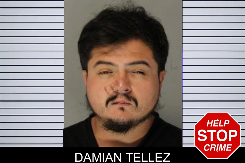 Damian Tellez mugshot – Hall County , Georgia Damian Tellez mugshot