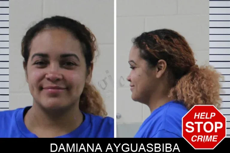 Damiana Ayguasbiba mugshot – Houston County , Georgia Damiana Ayguasbiba