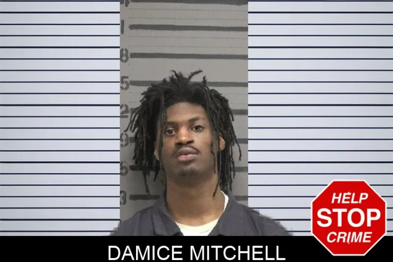 Damice Mitchell mugshot – Dougherty County , Georgia Damice Mitchell