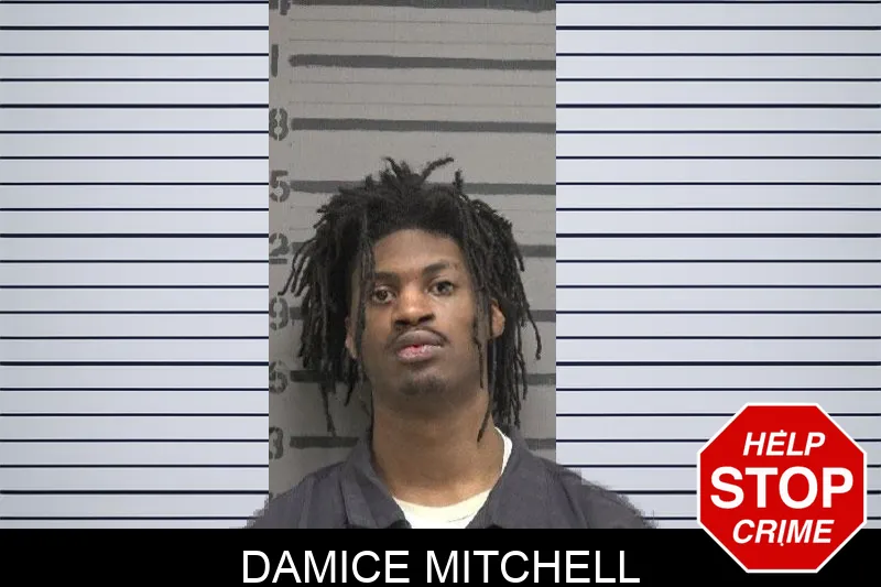 Damice Mitchell mugshot