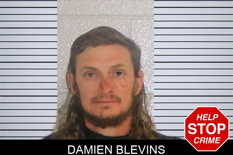 Damien Blevins Mugshots