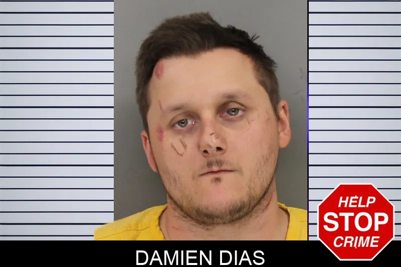 Damien Dias Mugshots