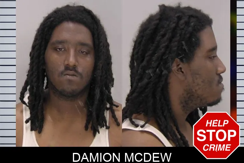 Damion McDew Mugshots