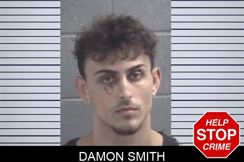 Damon Smith Mugshots