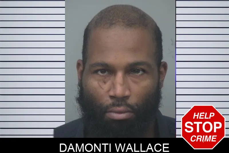 Damonti Wallace mugshot