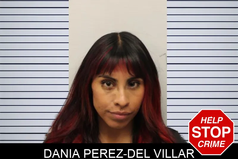 Dania Perez-Del Villar Mugshots