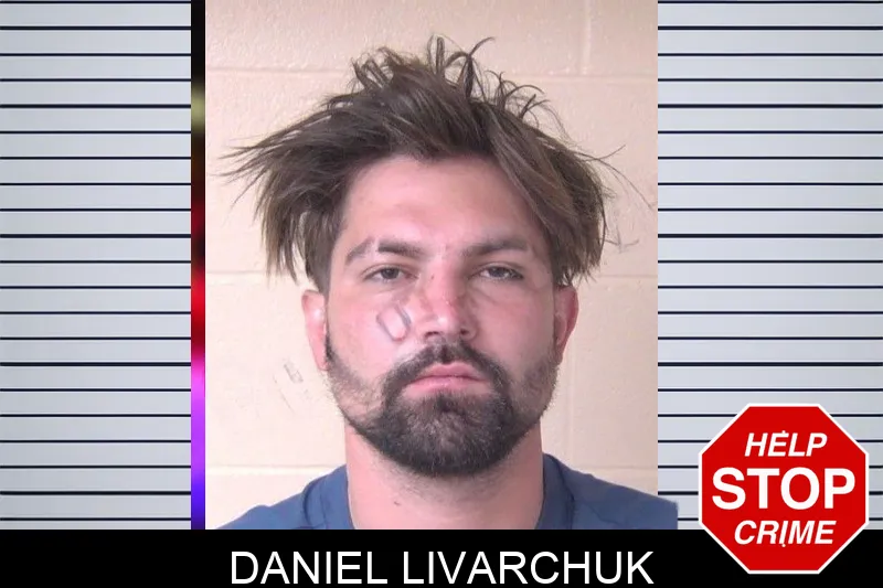 Daniel Livarchuk Mugshots