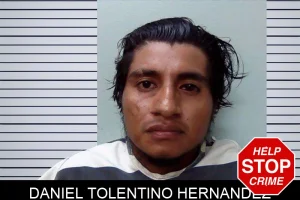Daniel Tolentino Hernandez mugshot