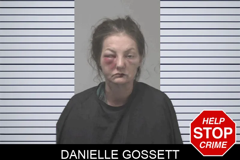 Danielle Gossett Mugshots