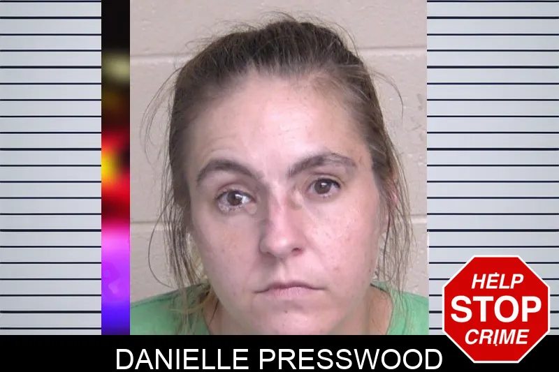 Danielle Presswood Mugshots