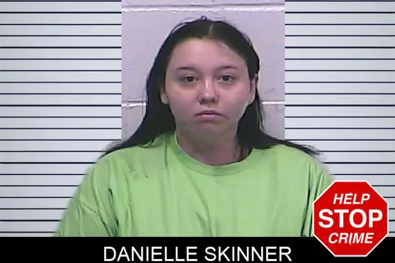 Danielle Skinner mugshot – Dawson County , Georgia Danielle Skinner