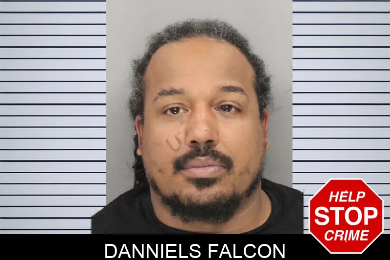 Danniels Falcon mugshot
