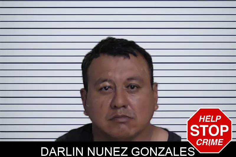 Darlin Nunez Gonzales mugshot
