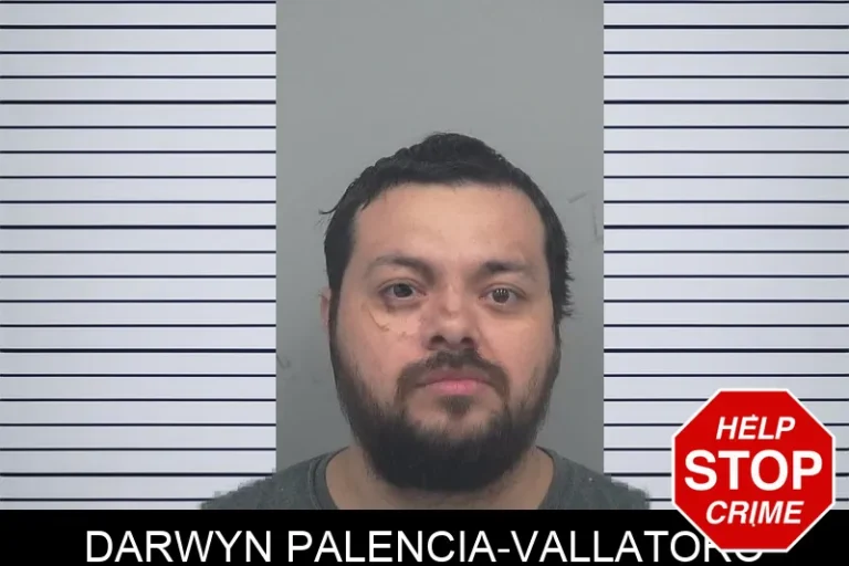 Darwyn Palencia-Vallatoro