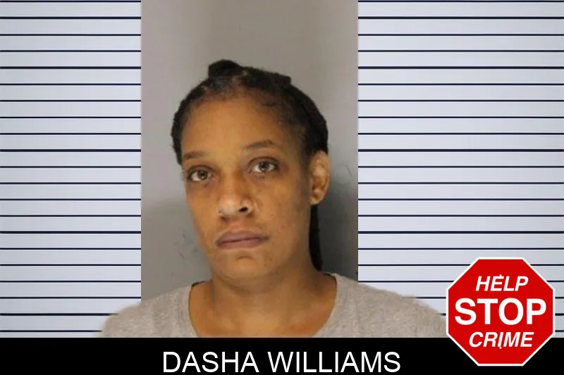 Dasha Williams mugshot – Hall County , Georgia Dasha Williams mugshot