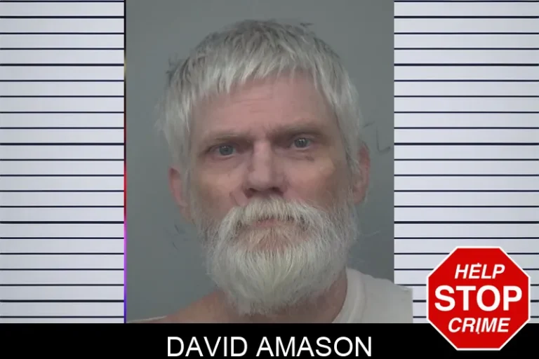 David Amason