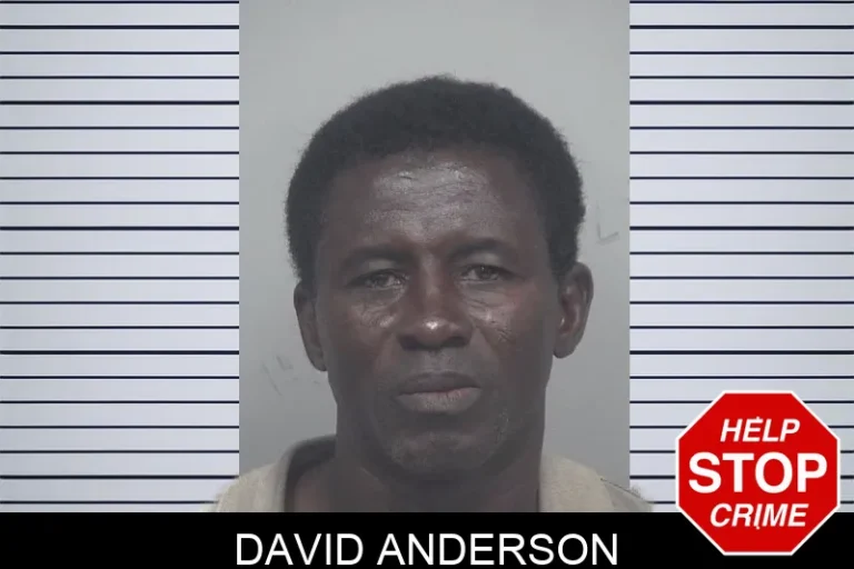 David Anderson