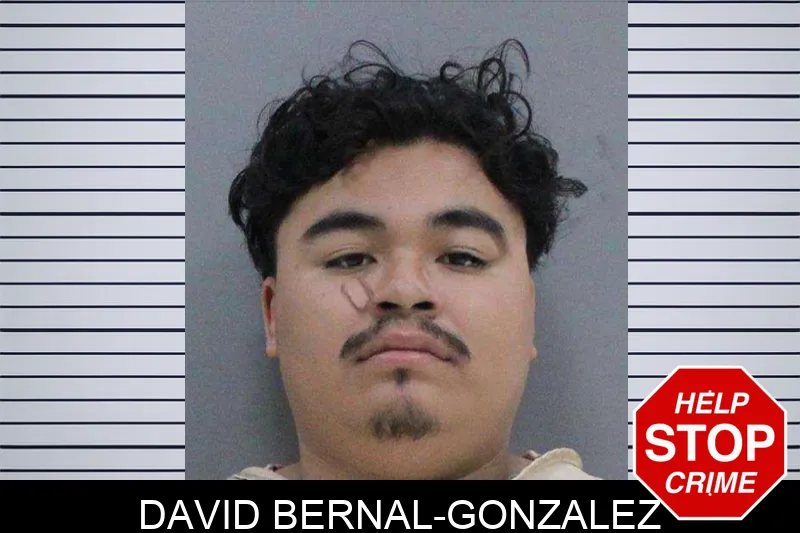 David Bernal-Gonzalez