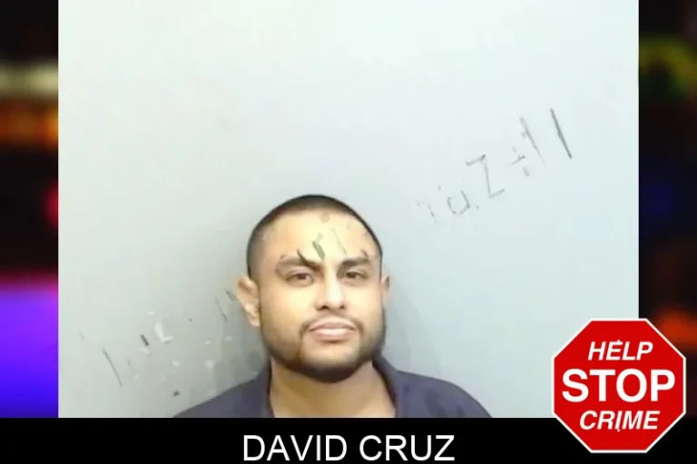 David Cruz