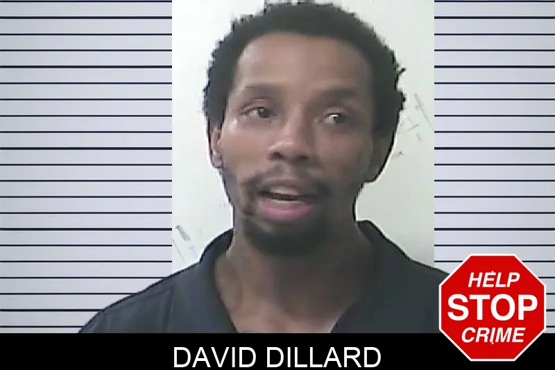 David Dillard