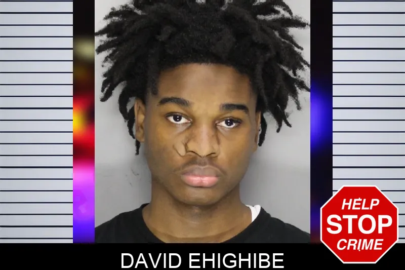 David Ehighibe mugshot