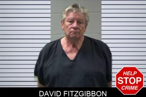 David Fitzgibbon mugshot