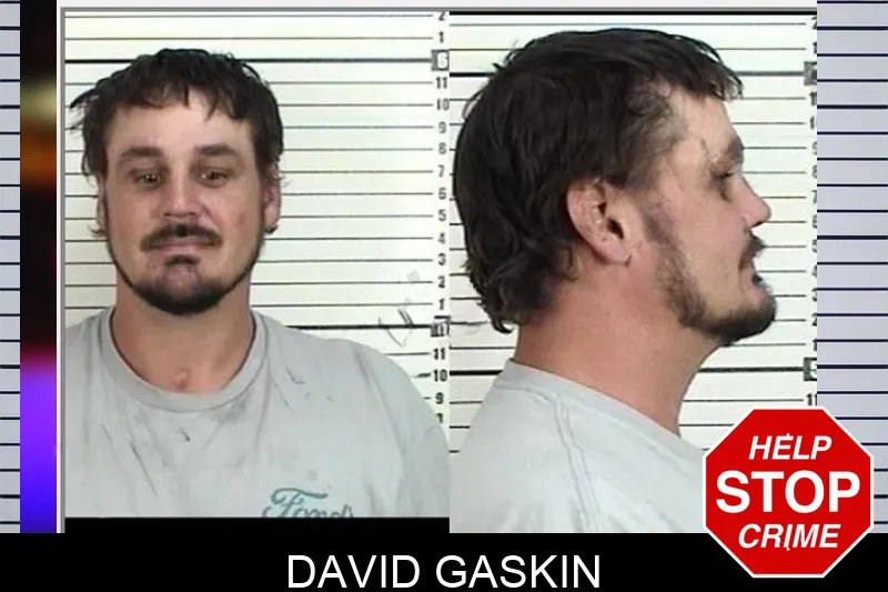 David Gaskin