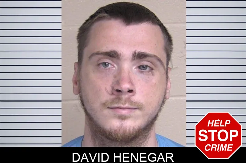 David Henegar Mugshots