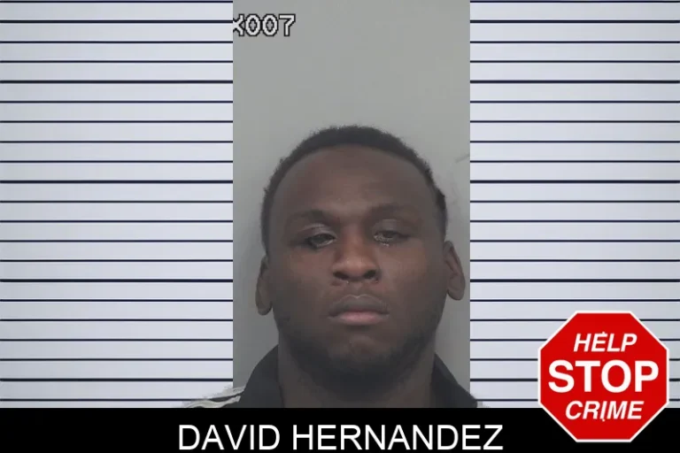 David Hernandez