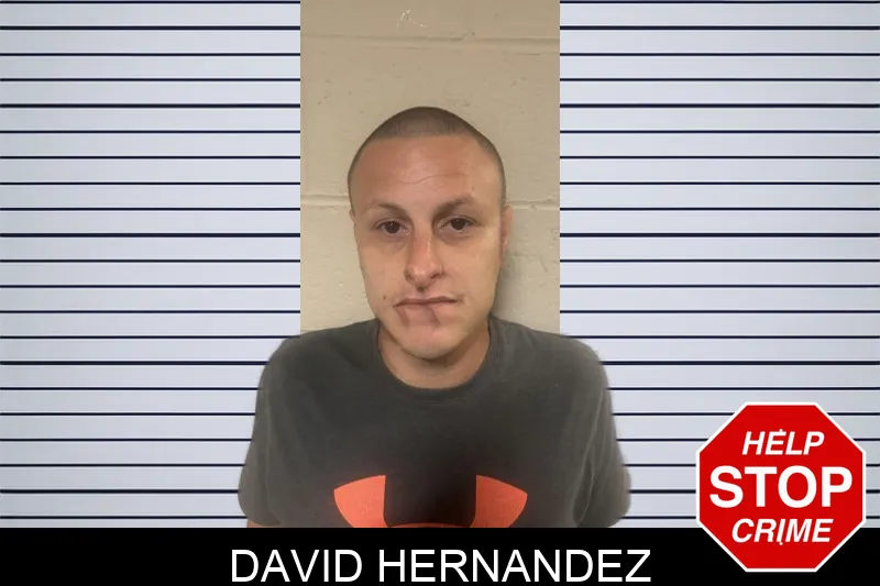 David Hernandez Mugshots