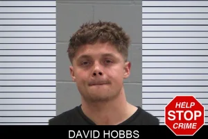David Hobbs mugshot
