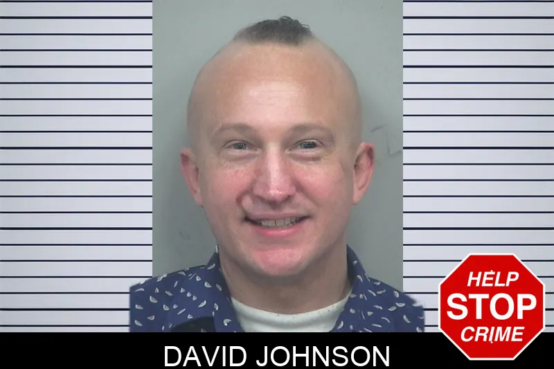 David Johnson mugshot
