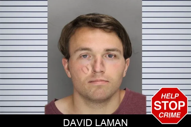 David Laman mugshot – Cobb County , Georgia David Laman