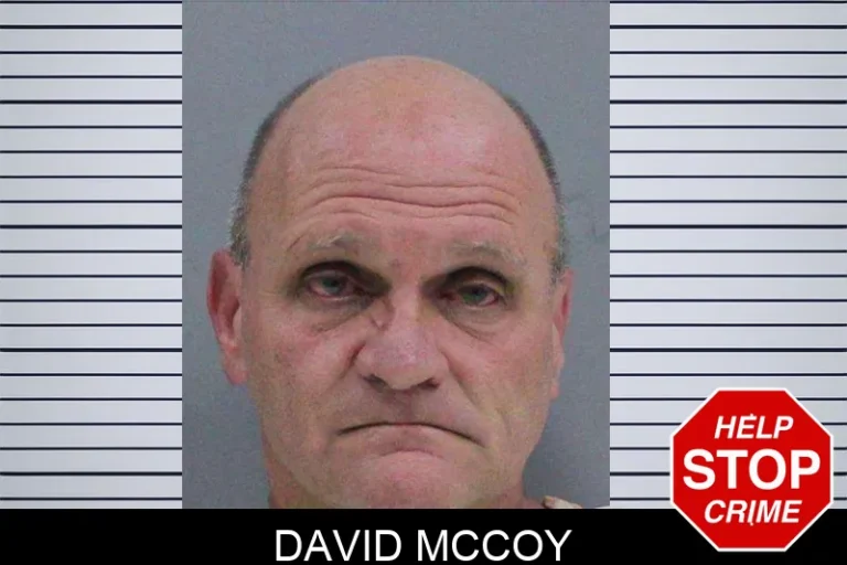 David McCoy