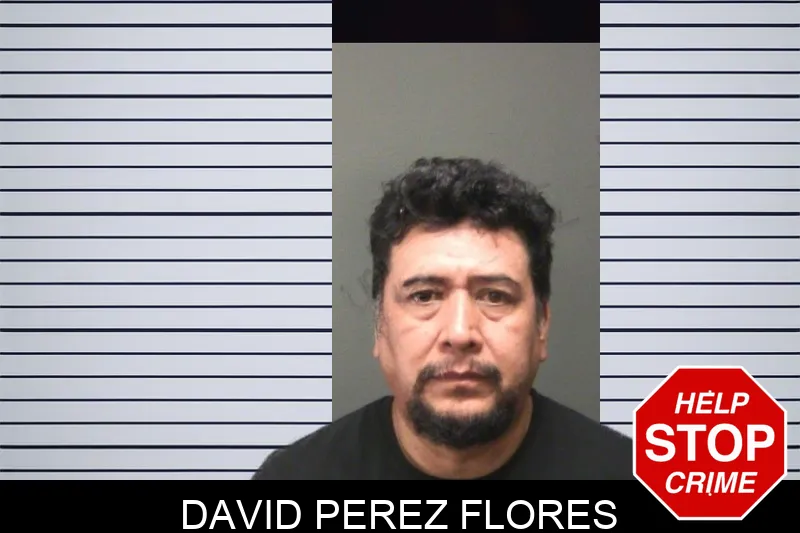 David Perez Flores