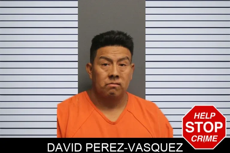 David Perez-Vasquez