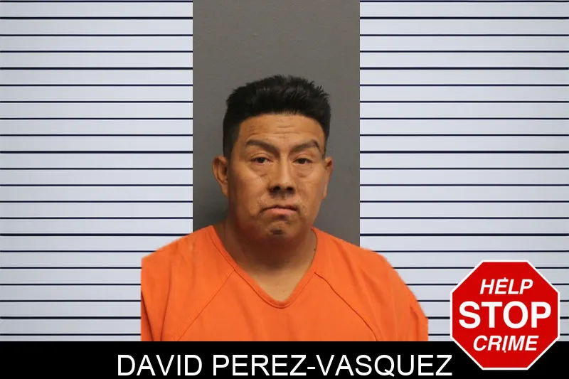 David Perez-Vasquez