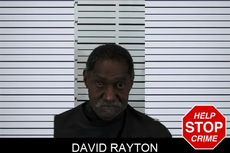 David Rayton