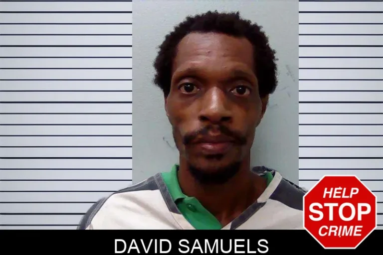 David Samuels