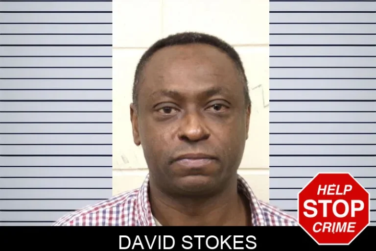 David Stokes