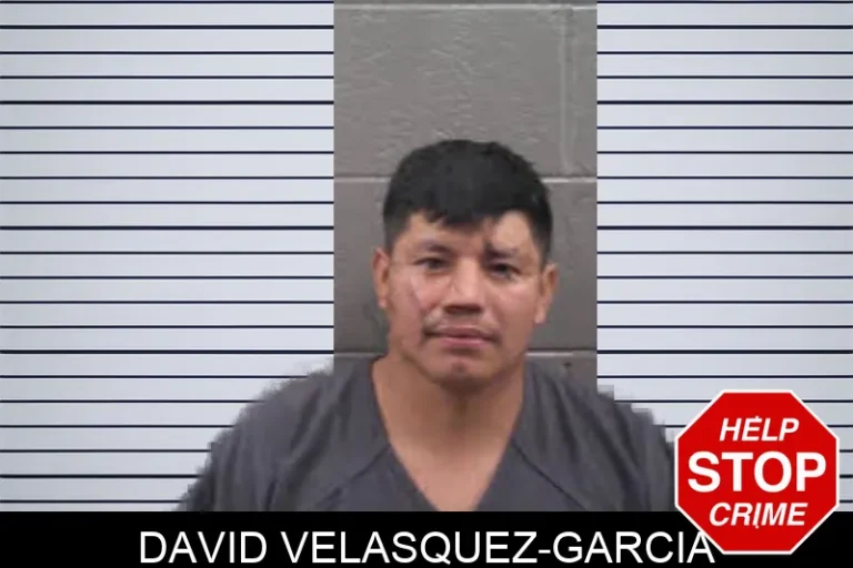David Velasquez-Garcia