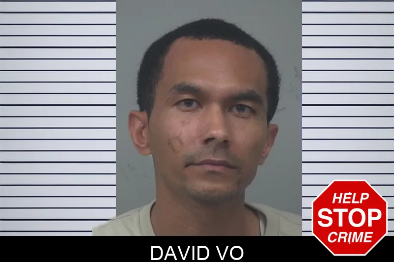 David Vo mugshot