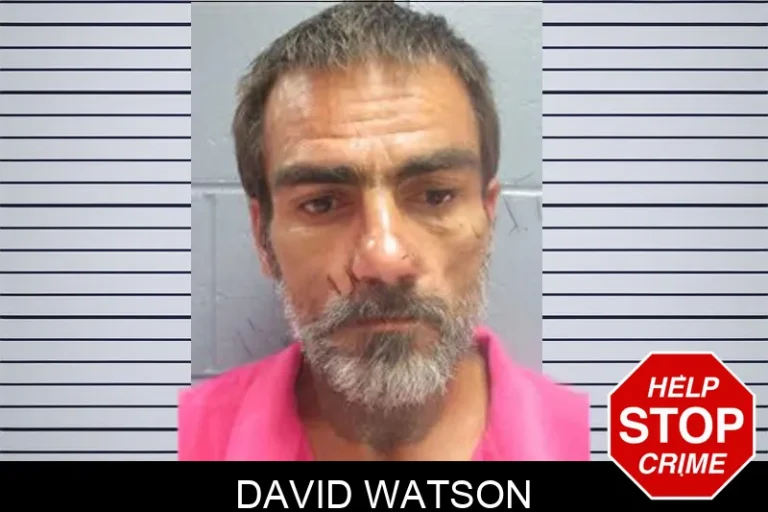 David Watson