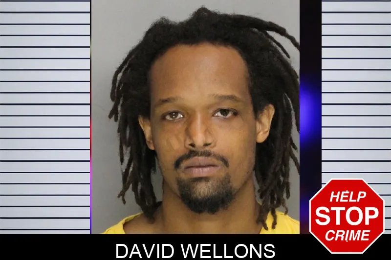 David Wellons mugshot