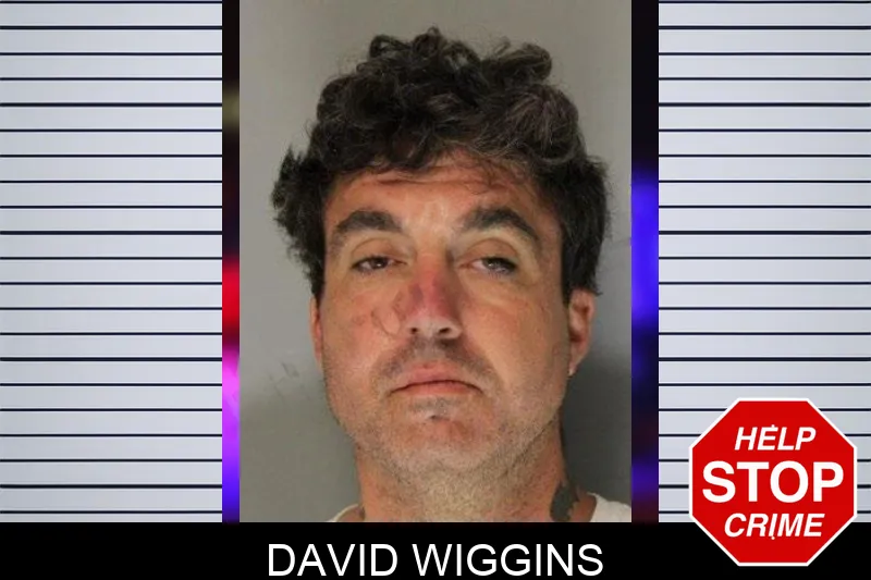David Wiggins mugshot – Hall County , Georgia David Wiggins mugshot