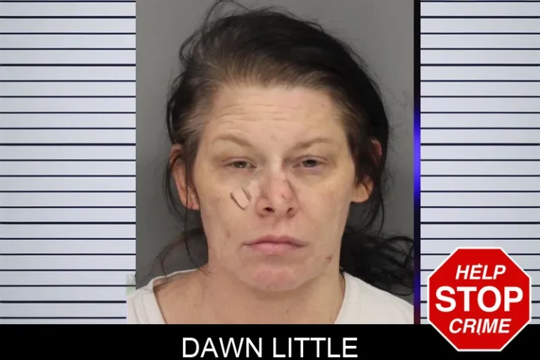 Dawn Little