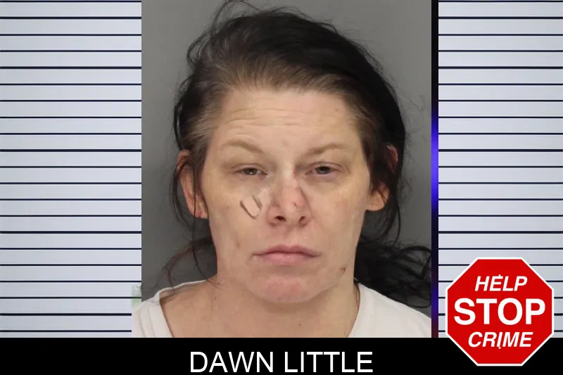Dawn Little mugshot