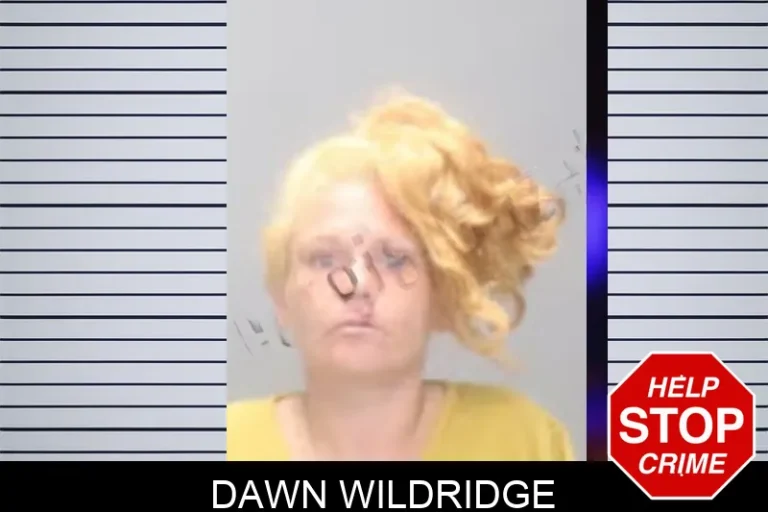 Dawn Wildridge