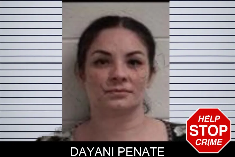 Dayani Penate mugshot – Henry County , Georgia Dayani Penate mugshot